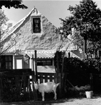 W-1863 Renesse Luieweg Het veel gefotografeerde huisje op de Oosterenbanpolder bewoond door genaraties der ...