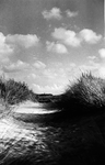 W-1869 Renesse Duinovergang Jan van Renesseweg. Detail van de duinen aan het noorderstrand, met in de verte de ...