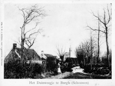 W-1943 Burgh. Zandstraat. Het Duinweegje van 1910 werd later de Zandstraat genoemd. Het Duinwegje dat 500 meter verder ...