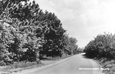 WA-0420 Westenschouwen. Steenweg, ter hoogte van pension Iris (links).