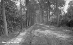 WA-0570 Haamstede. De Nieuwe Weg van de Kloosterweg naar de Pasen Hil (nog onverhard).