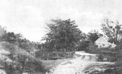WA-1067 Renesse. Oude Moolweg (thans nr. 23). In 1933 nog onverharde duinweg naar het strand. Zowel links als rechts ...
