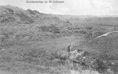 WA-1135 Westenschouwen De duinvoet langs het Westerstrand. De weiden van boerderij 'Duinoord' liepen toen nog door tot ...