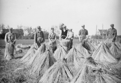 X-0454 Haamstede. Vlasverwerkingsbedrijf De Roterij .