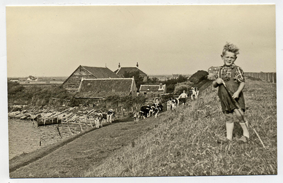 X-2846 Flaauwers. Inlagen. Brammetje van den Hoek voor de boererij van de familie Van den Hoek, verloren gegaan in 1953.