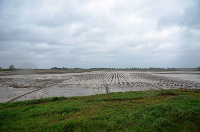 X-3101 Omgeving Dreischor. Akker tussen de Oude Polderdijk en de Roterijdijk. Wateroverlast na overvloedige regenval.