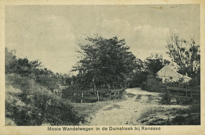X-3424 Renesse. Oude Moolweg van uit het westen. Achter de watergang staat de woning van Andries de Ruiter. In 2014 ...