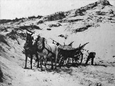 X-4260 Haamstede. 't Zandgat Pasenhil. Zand laden in de duinen. Links P. Evertse met hoed, rechts L. van Strien.