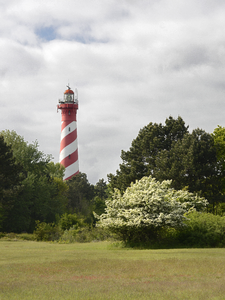 X-4911 Nieuw-Haamstede. Duinpolder. Vuurtoren Westerlicht gezien vanuit de Duinpolder