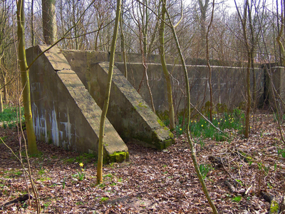 X-4940 Haamstede. Slotbos. Ingang van een Duitse bunker uit WO2 in het bos bij Slot Haamstede 