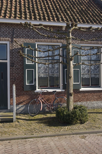 X-4980 Noordwelle. Locatie onbekend. Een woning in het dorp met leilinden ervoor