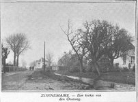 Z-0192 Zonnemaire. Gezicht op de Oostweg met recht huize Dorpzicht .