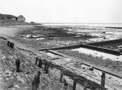 A-0213 Bruinisse. Oude oesterputten achter de dijk van de Stoofpolder.