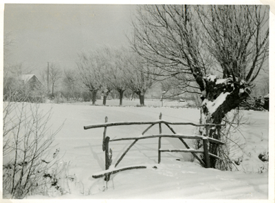 A-11526 Westerschouwen. Landschap met bomen in de sneeuw en op de achtergrond een boerderij