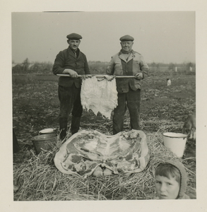 A-12928 Slager Wim Beije (links) met een geslacht varken van Kees Kik