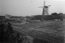 A-2034 Brouwershaven. Gezicht vanaf de Noorddijk ongeveer waar deze aansluit op de Oude Schouwse Dijk naar Den Osse. De ...