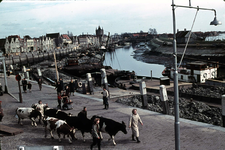 RK-1422 Zierikzee. Watersnoodramp 1953. Nieuwe Haven. Schepen met stortsteen voor dijkherstel. Koeien op het Luitje.