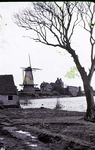 RK-1488 Zierikzee. Watersnoodramp 1953. Gezicht op het Bolwerk met stellingmolen 'De Haas', gezien vanuit het Slingerbos.