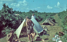 RK-2059 Renesse. Kamp van de Jeugdbond voor Natuurstudie (NJN).