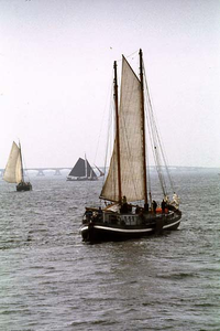 BE-1394 Zierikzee. De Van Loon Hardzeilrace met traditionele zeilschepen op de Oosterschelde.