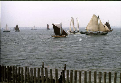 BE-1396 Zierikzee. Van Loon Hardzeilrace met traditionele zeilschepen op de Oosterschelde.