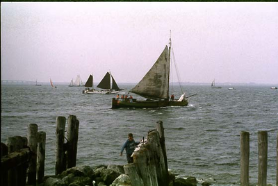 BE-1399 Zierikzee. Van Loon Hardzeilrace met traditionele zeilschepen op de Oosterschelde.