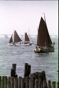 BE-1403 Zierikzee. Van Loon Hardzeilrace met traditionele zeilschepen op de Oosterschelde.