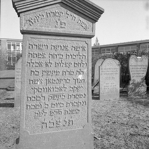 BE-1833 Zierikzee. Grafsteen op de Joodse begraafplaats, gelegen in de wijk Malta achter de voormalige Landbouwschool.