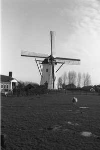 BE-2758 Nieuwerkerk Korenmolen 't Hert. Deze molen wordt draaiende gehouden door molenaar D. Haak en zijn zoon. Haak ...