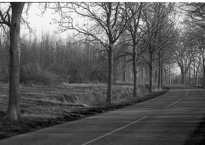 JVH-1061 Schuddebeurs. Het gebied tussen Kloosterweg, Haneweg en Donkereweg waar Bij de Vaate Makelaardij Buitenplaats ...