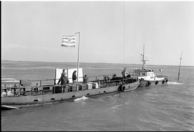 JVH-1424 Oosterschelde, Roggenplaat. Vrijlating van vijf zeehonden in de Oosterschelde, voorzien van zenders, om hun ...