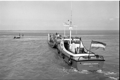 JVH-1437 Oosterschelde, Roggenplaat. Vrijlating van vijf zeehonden in de Oosterschelde, voorzien van zenders, om hun ...