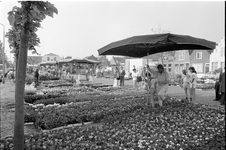 JVH-1833 Zierikzee. Balie. Geraniummarkt van de vereniging Groei en Bloei