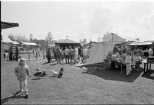 JVH-1919 Zierikzee. Scheldestraat. Kinderboerderij De Punt. Voor het eerst in de geschiedenis van de kinderboerderij ...