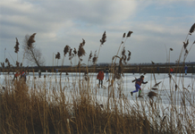 960005 Schaatsenrijders op de Molenkreek te Westdorpe