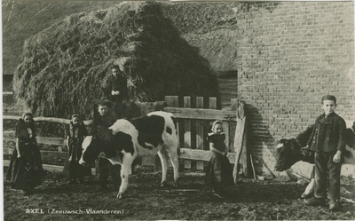 1574 Axel (Zeeuwsch-Vlaanderen). Kinderen in Axelse dracht op een boerderij