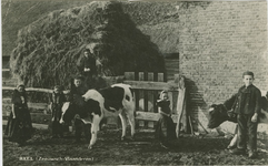 1574 Axel (Zeeuwsch-Vlaanderen). Kinderen in Axelse dracht op een boerderij