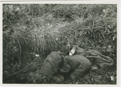 2265 Een gesneuvelde Poolse militair bij Axel