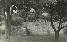 2420 Poolse graven op de algemene begraafplaats aan de Burchtlaan te Axel