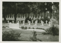 2809 De graven van de gesneuvelde Poolse militairen op de algemene begraafplaats aan de Burchtlaan te Axel