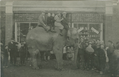 454 Een olifant van circus Hagenbeck voor de winkel van Antheunis op de Markt te Axel