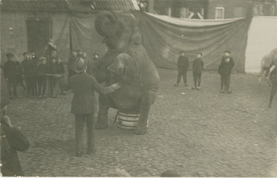 457 Een olifant van circus Hagenbeck op de Markt te Axel