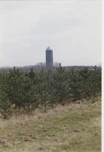 702 Met naaldbomen beplant natuurgebied Smitsschorre te Axel
