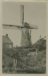 BIE-P-3 Een typisch plaatsje te Biervliet. Molen De Harmonie aan de Molenstraat te Biervliet