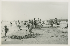 BOR-41 Het strand bij Borssele