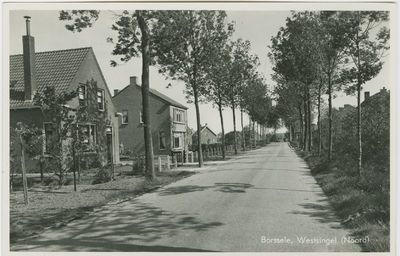 BOR-P-36 Borssele, Westsingel (Noord). De Westsingel (Noord) te Borssele