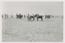 CAD-256 Cadzand, Strand. Paarden op het strand te Cadzand