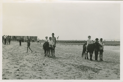 CAD-261 Cadzand, Strand. Pony's op het strand te Cadzand