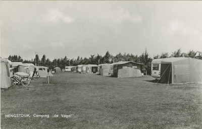 HEN-P-13 Hengstdijk, Camping de Vogel . Camping De Vogel te Hengstdijk