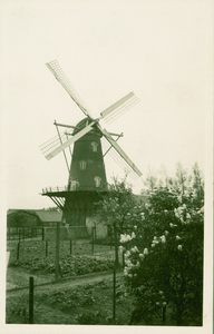 HOK-4 Hoek, Molen Windlust . Molen Windlust aan het Molenplein te Hoek